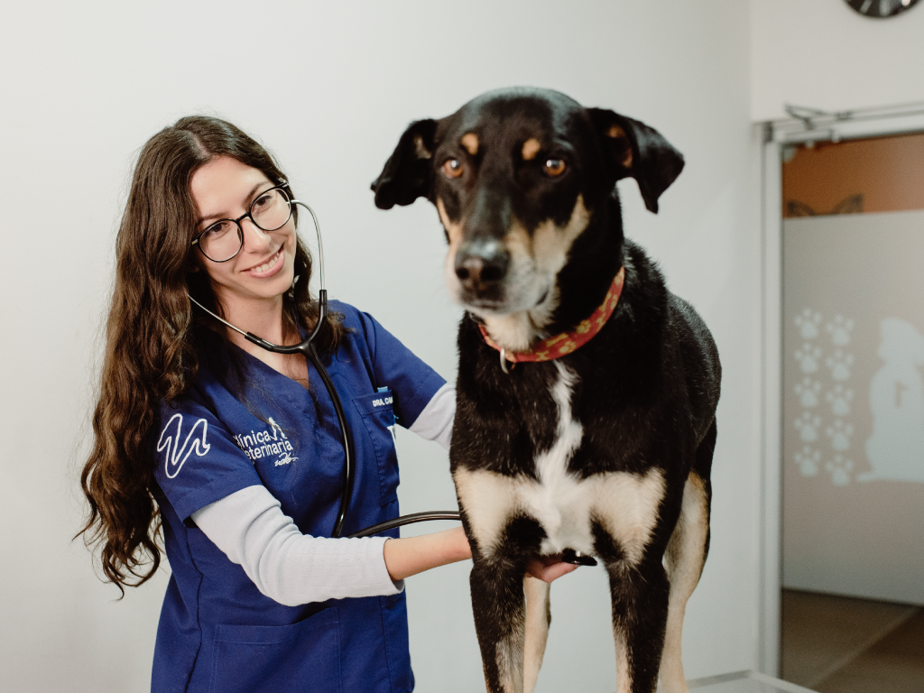 Clínica veterinaria de la UDLA, abierta a la comunidad