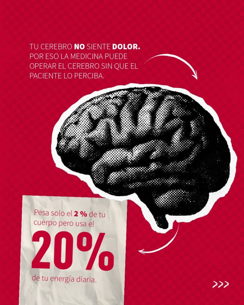 5 cosas que no sabías de tu cuerpo